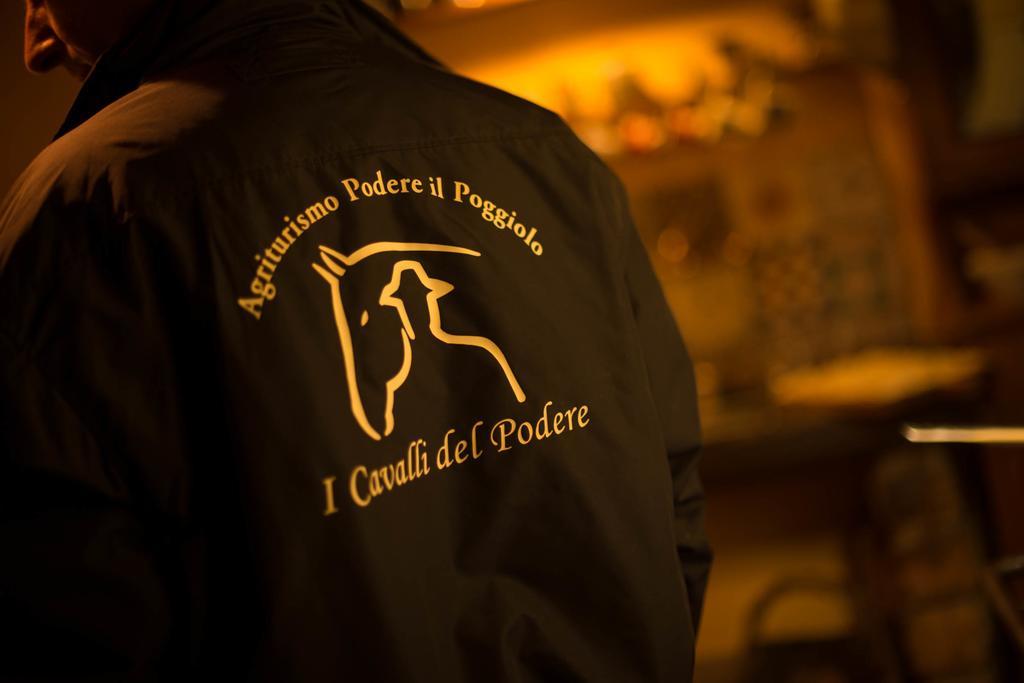 Podere Il Poggiolo 波塔斯维 外观 照片