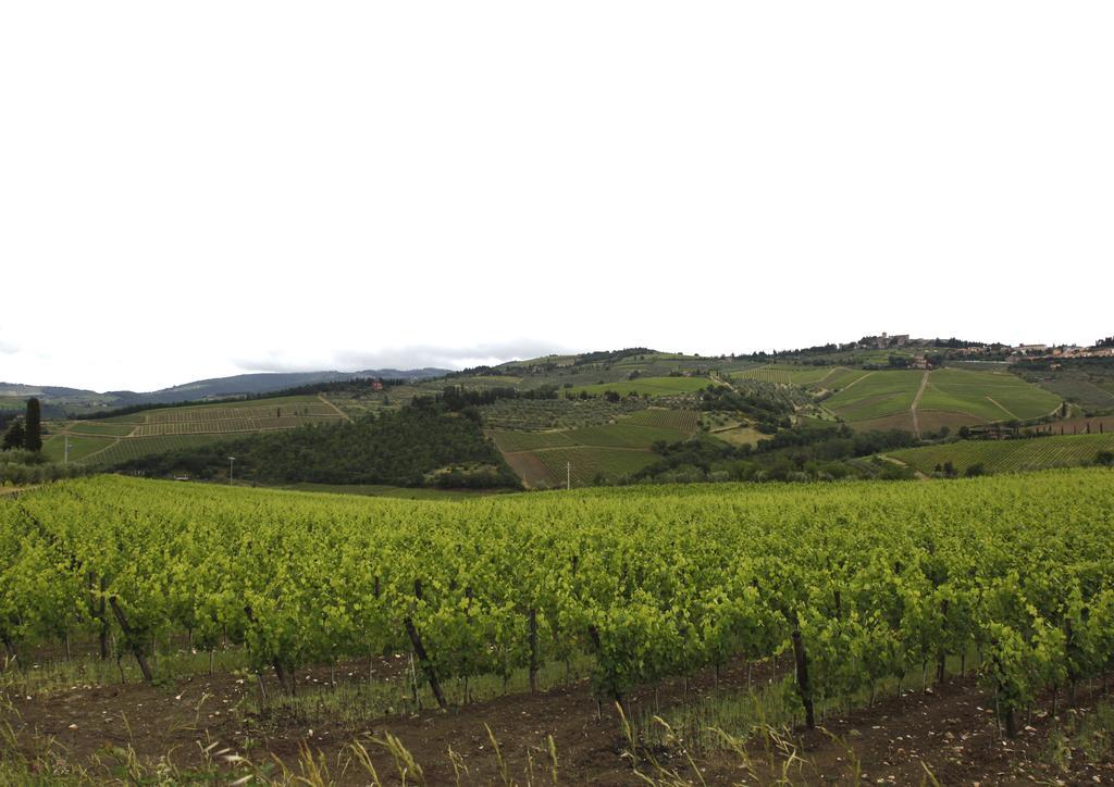 Podere Il Poggiolo 波塔斯维 外观 照片