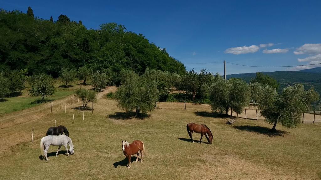 Podere Il Poggiolo 波塔斯维 外观 照片
